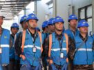 program-cares-pln