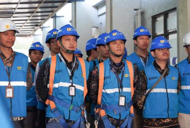 program-cares-pln